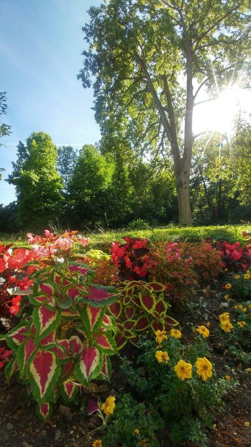 Moderne Ferienwohnungen Am Kurpark - Zentral, Ruhig & Nah Am Edersee Bad Wildungen Buitenkant foto